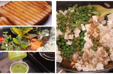 Weekend Vlog | SUNDAY MORNING BREAKFAST ROUTINE | MATAR PANEER SANDWICH RECIPE with GREEN CHUTNEY