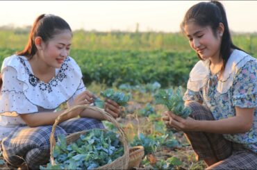 Have You Ever Used Vegetable In Our Hands For Cooking?- Healthy Food Recipe - By Countryside Life TV