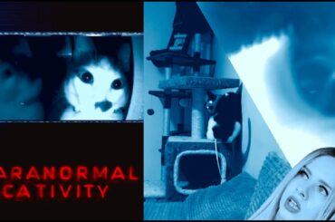#lunchbox #healthy #fit Mój lunchbox + PARANORMAL CATIVITY | Lunchbox idea + PARANORMAL CATIVITY