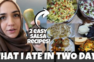 WHAT I ATE IN TWO DAYS | WEIGHTLOSS | LOW CALORIE | 2 SALSA RECIPES | SafsLife