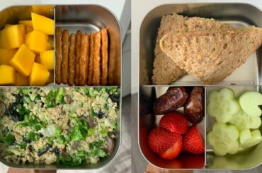 4 Easy & Healthy Lunch box Ideas for School or Work [Vegan]