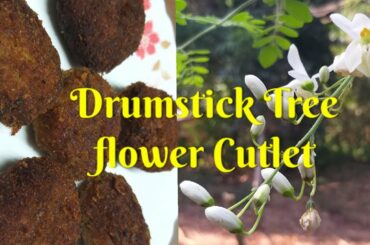 മുരിങ്ങാപ്പൂവ് cutlet | Special Recipes of Lalu Kurian | Drumstick Tree | Healthy food |Cooking Tip