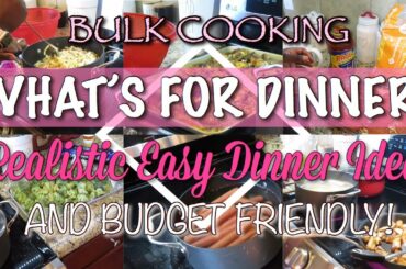 WHAT’S FOR DINNER ? | EASY BUDGET FRIENDLY MEALS | FAMILY MEALS | EASY MEAL IDEAS