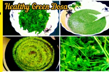 Mudakkathan Keerai Dosai| Balloon Vine Leaves Dosa|Healthy Breakfast|Dinner recipe|JoinedPain Remedi