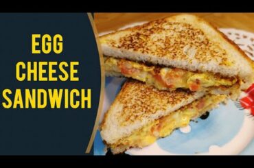 Egg Cheese Sandwich Reciepe in hindi | urdu| Sabbo Rani ka Kitchen