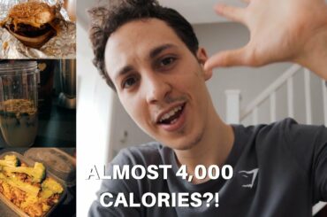 What I Eat on a "CHEAT" Day + Healthy Food Talk | Music Composer