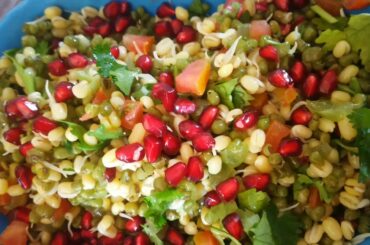 Sprout Salad Recipe | Weight loss Recipe | Sprout Recipes | Healthy salad Recipe