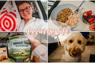 DAY IN MY LIFE :) healthy lunch idea, pantry organization + grocery haul