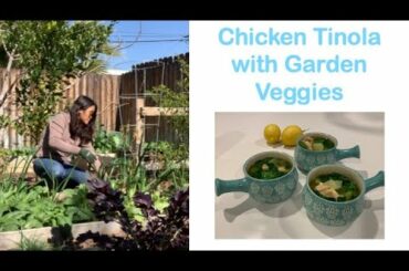 Filipino-style Chicken Soup "Tinola" with Garden Vegetables | Gardening Day