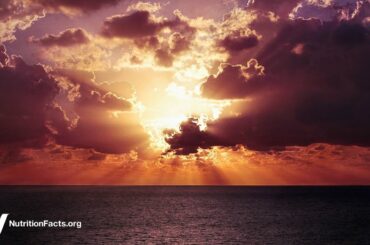 Shedding Light on Shedding Weight