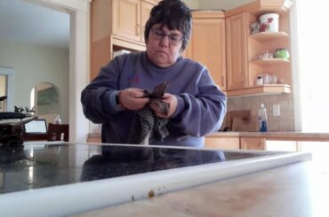 Yummy healthy snacks!