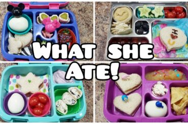 A week of school lunches PLUS what she ate! - Bella Boo's Lunches