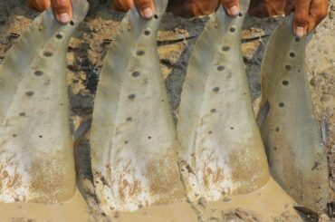 Find Fish Dry Season 2020 - Find n Catch Fish in Underground Hole​ Then Cooking For Lunch