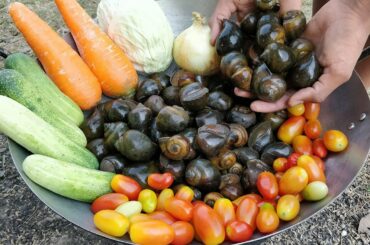 Field Snail Salad Recipe / Cooking Snail with Fresh Vegetable