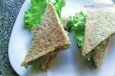 Mayo vegetable sandwich|vegetable sandwich|best snacks| easy & quick recipe of bread sandwich|