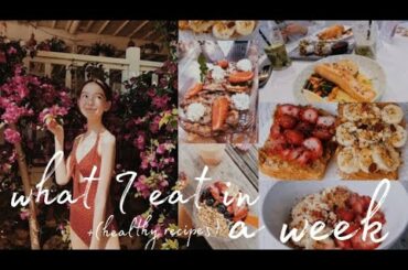 What I Eat in a Week! Easy Healthy Recipes for students! ( includes vegan recipes!!! )