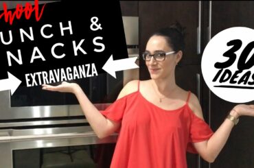 KIDS LUNCHES & SNACKS FOR SCHOOL- FOR KIDS TODDLERS-SCHOOL LUNCH BOX IDEAS SHOPPING AT ALDI & AMAZON