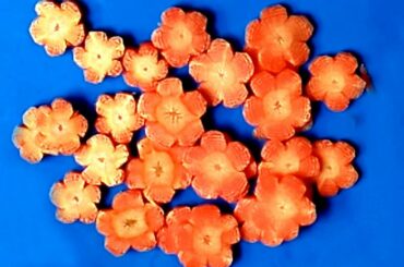 Carrot Rose Flower, Vegetable Carving & Cutting Garnish, Super Salad Decoration Ideas, CHR