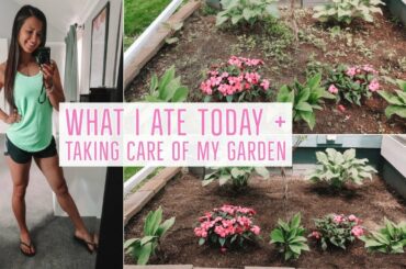 VEGAN WHAT I ATE TODAY | healthy meals & my jungle garden