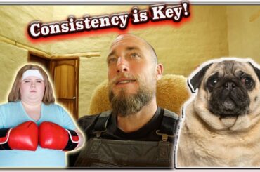 Want results and fat loss with a Keto or Carnivore diet? CONSISTENCY is the KEY