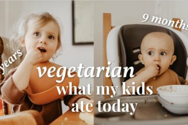 What My 9 Month Old & Toddler Ate Today // Vegetarian Meal Ideas for Baby Led Weaning & Toddlers