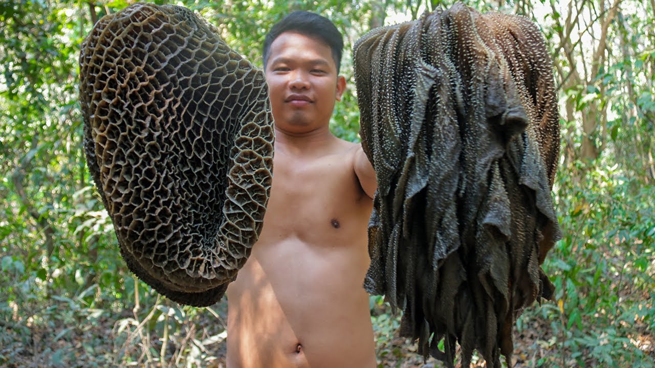 Cooking yummy cow stomach salad recipes in the forest – Survival Time Cooking yummy cow stomach salad recipes in the forest - Survival Time