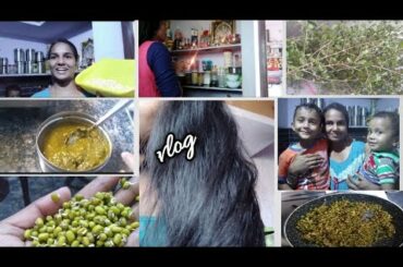 vlog ||#henna preparation|పిల్లలు నేను kitchen లో ..ila.. |healthy #breakfast