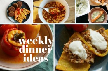 FAMILY DINNER IDEAS vol 2 - Stuffed Bell Peppers, Meatloaf, Baked salmon Recipes and more