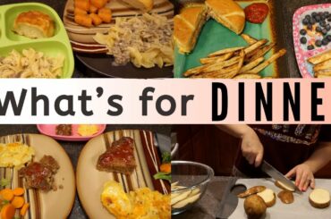 WHAT’S FOR DINNER | EASY & BUDGET FRIENDLY MEAL IDEAS | Jordan Murdock