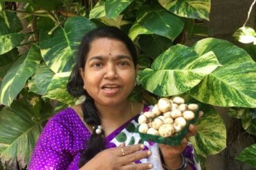 ''Delicious''Mushroom Spinach Paneer Gravy[Kalan Palak Paneer Curry]Vegan & Lacto-Vegetarion Dish