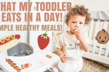 WHAT MY TODDLER EATS IN A DAY | SIMPLE HEALTHY MEALS