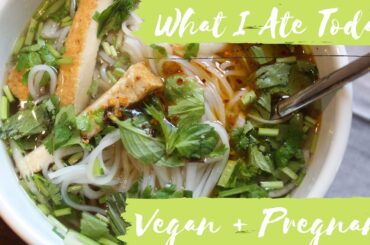 What I Ate Today || VEGAN + PREGNANT || Healthy Meals!