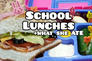 Kid Bento Lunches - Easy Lunch Ideas - Bella Boo's Lunches
