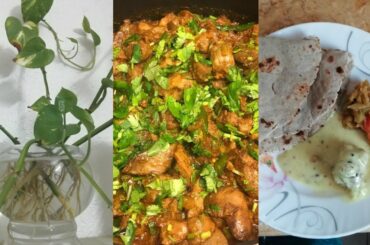 Afternoon to Night Routine || Healthy lunch || Quick and easy Chicken recipes