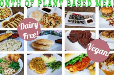 A MONTH OF PLANT BASED / VEGAN MEALS | HEALTHY FAMILY RECIPES | EASY DAIRY FREE KID MEALS
