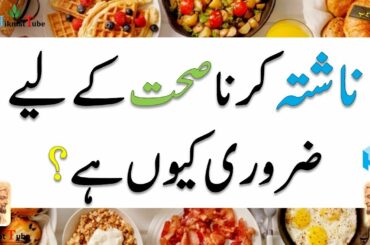 Breakfast  / healthy breakfast /breakfast definition/easy healthy breakfast recipes/breakfast ideas