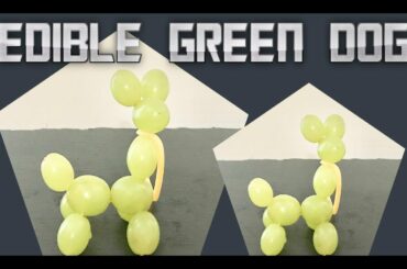 Edible Green Dog. Healthy Snacks for kids. Food art Dog.