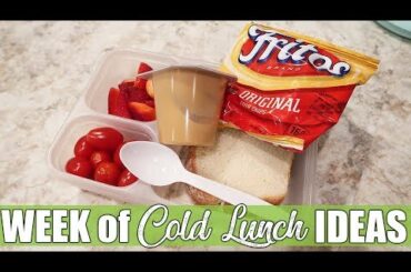 Cold Packed Lunch Ideas for Work or School | What's for Lunch?