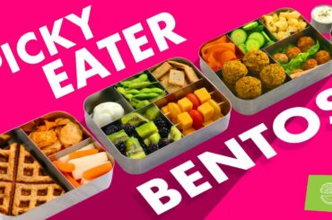 Bento Box Lunch Ideas for Picky Eaters – School Lunch Ideas Compilation