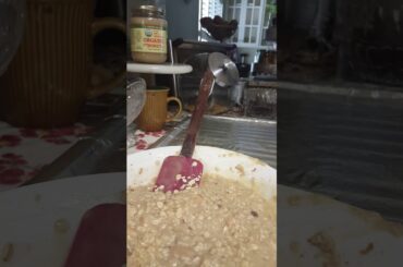 My Healthy Bread Continues