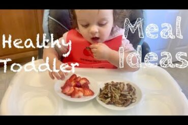 Healthy Toddler Meal Ideas