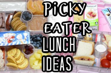 SCHOOL LUNCH IDEAS | PICKY EATER SCHOOL LUNCHES | LUNCH IDEAS FOR PICKY EATERS |