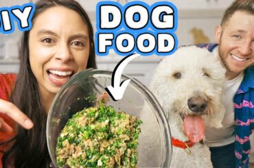 HOMEMADE DOG FOOD RECIPE 🐶 Healthy, easy & affordable!