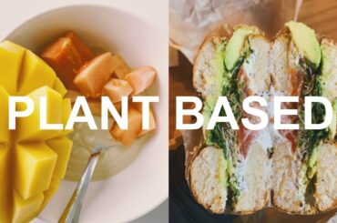 HEALTHY & EASY BREAKFAST IDEAS | for school & work!