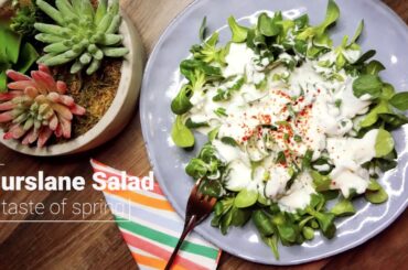 Purslane salad: A taste of spring (Purslane with  yoghurt and garlic dressing)
