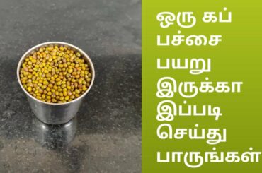 Healthy breakfast/dinner recipe | weight loss recipe | pesarattu in tamil | pacha payaru dosa