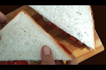 Butter Mayonnaise Sandwich Recipe | Veg Butter Mayo Sandwich | Easy & Quick Veg sandwich Recipe