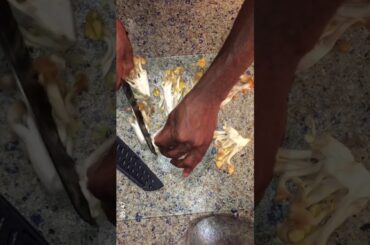 In Need Of A Healthy Quick Snack? Try this Simple Avocado-Mushroom Snackbowl!