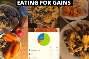 HEALTHY MAIN MEALS | INSPIRATION / SUGGESTIONS | FOR STRENGTH, BODYBUILDING & GAINS