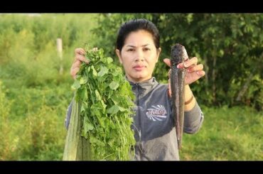 Awesome Cooking Fish With Vegetable Recipe - Cook healthy Recipes - Village Food Factory